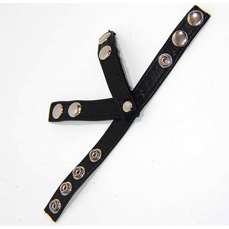 Premium Testicle & Cock Harness by BDStyle - Male Chastity