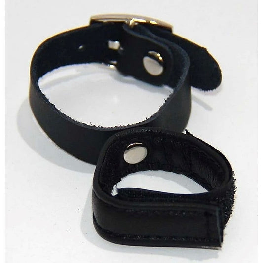 Mystique Cock Ring & Testicle Harness