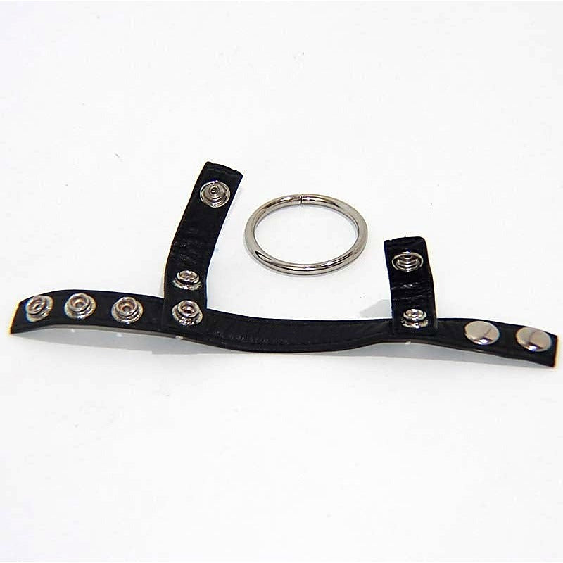 Leather Testicle & Metal Penis Rings by BDStyle - Cock Rings