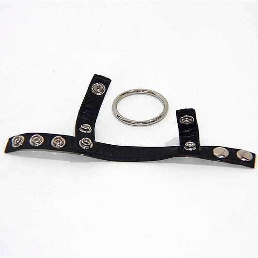 Leather Testicle & Metal Penis Rings - Cock Rings