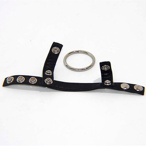 Leather Testicle & Metal Penis Rings by BDStyle - Cock Rings
