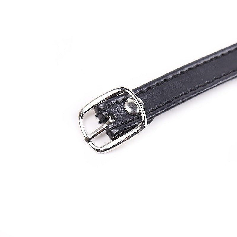 Premium Quick Buckle Ball Gag by BDStyle - Male Chastity