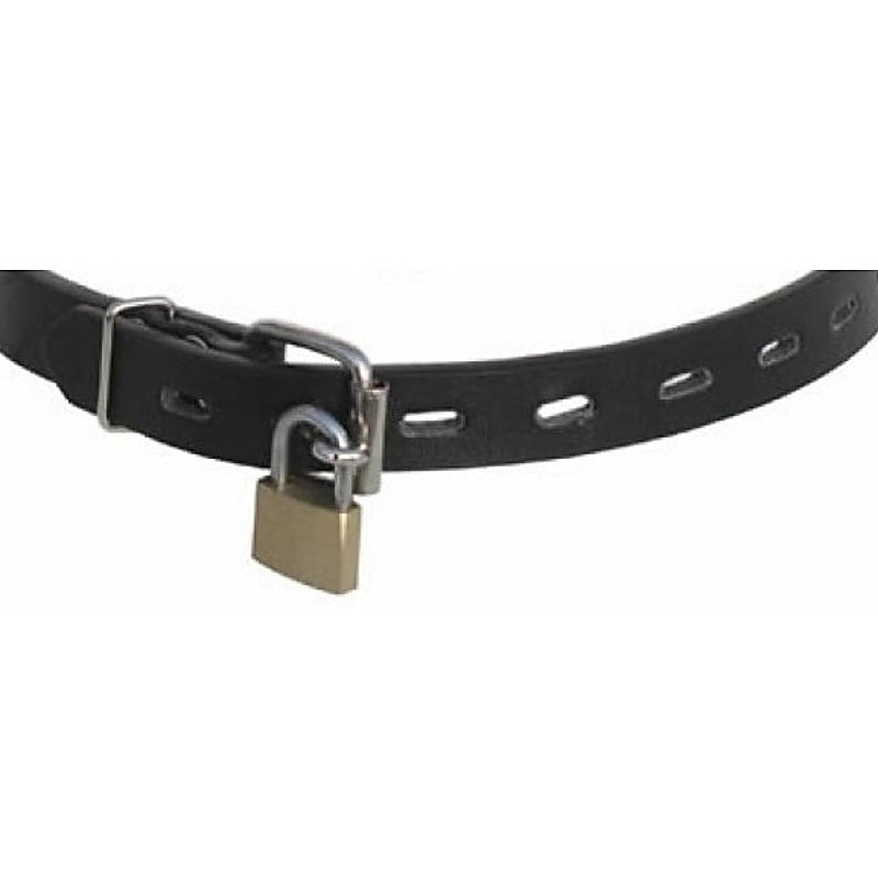 Premium Leather Folk Ball Gag by BDStyle - Bondage Gags and Bits