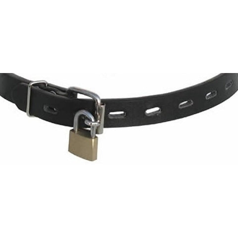 Premium Leather Folk Ball Gag by BDStyle - Bondage Gags and Bits