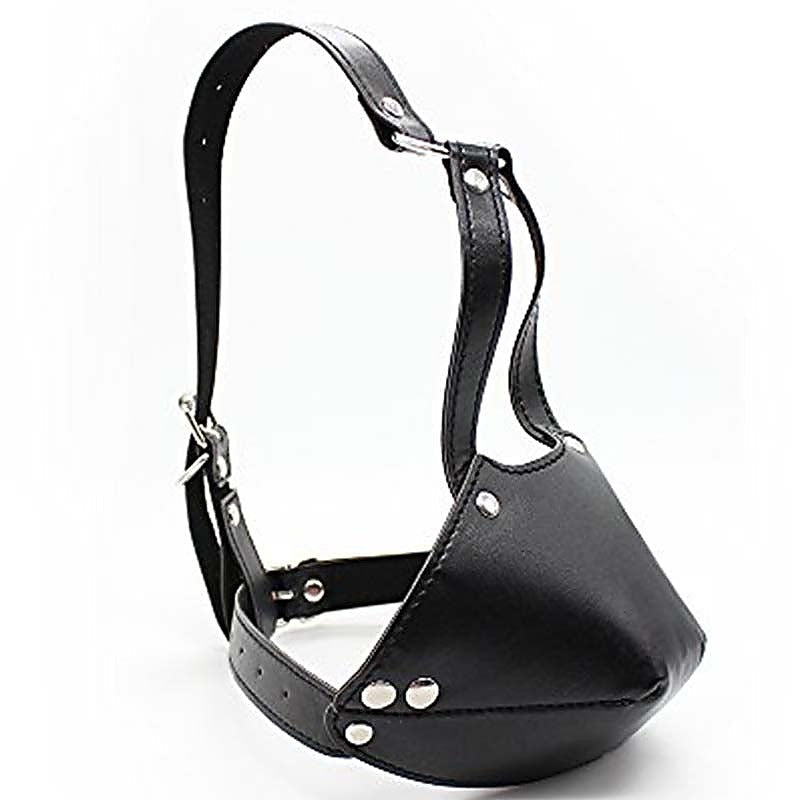Thin Bondage Face Harness & Ball Gag by BDStyle - Bondage Gags and Bits