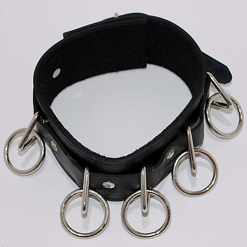 Wild Cat BDSM Pleasure-Control Collar-Lead Ensemble - Collars and Leads
