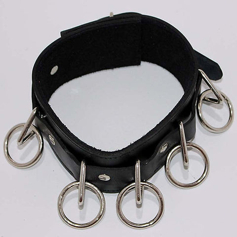 Wild Cat BDSM Pleasure-Control Collar-Lead Ensemble - Collars and Leads