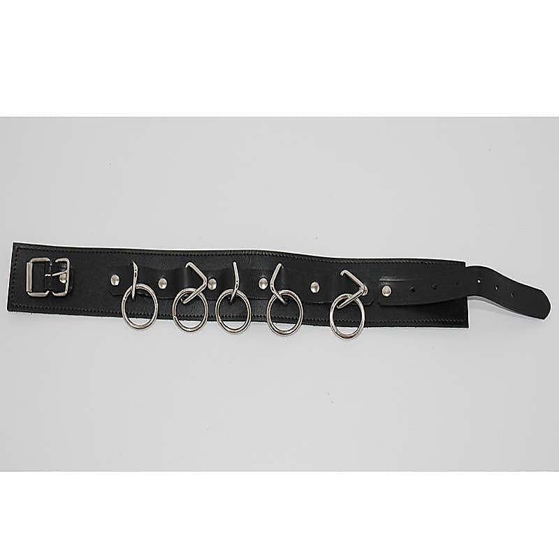 Wild Cat BDSM Pleasure-Control Collar-Lead Ensemble - Collars and Leads