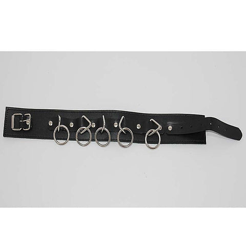 Wild Cat BDSM Pleasure-Control Collar-Lead Ensemble - Collars and Leads