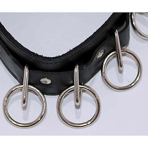 Wild Cat BDSM Pleasure-Control Collar-Lead Ensemble - Collars and Leads