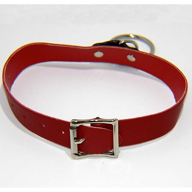Kitty Red Collar with O Ring Heavy by BDStyle - Fancy Dress Ups