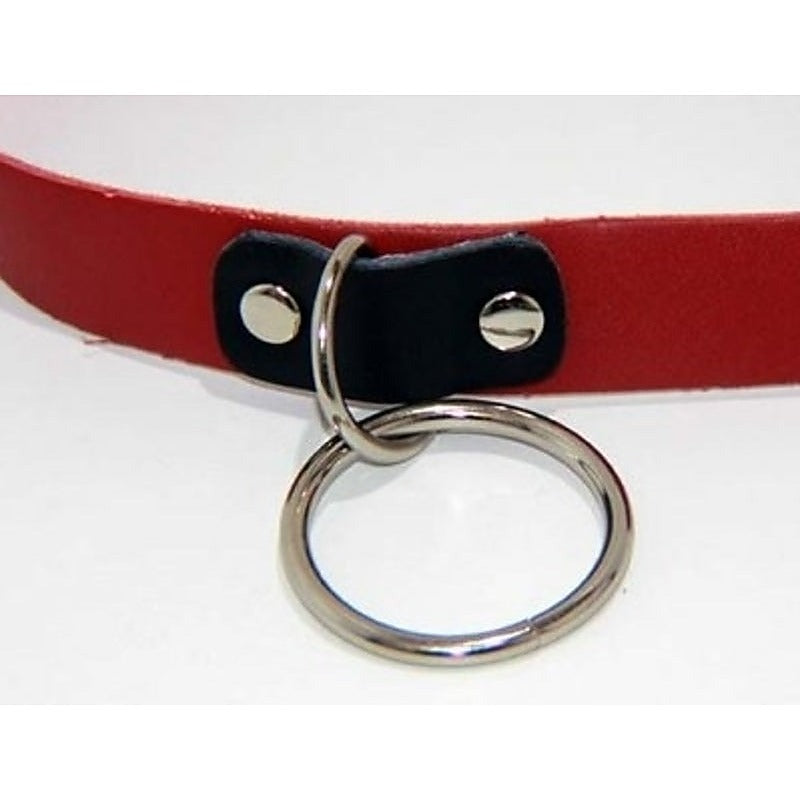 Kitty Red Collar with O Ring Heavy by BDStyle - Fancy Dress Ups