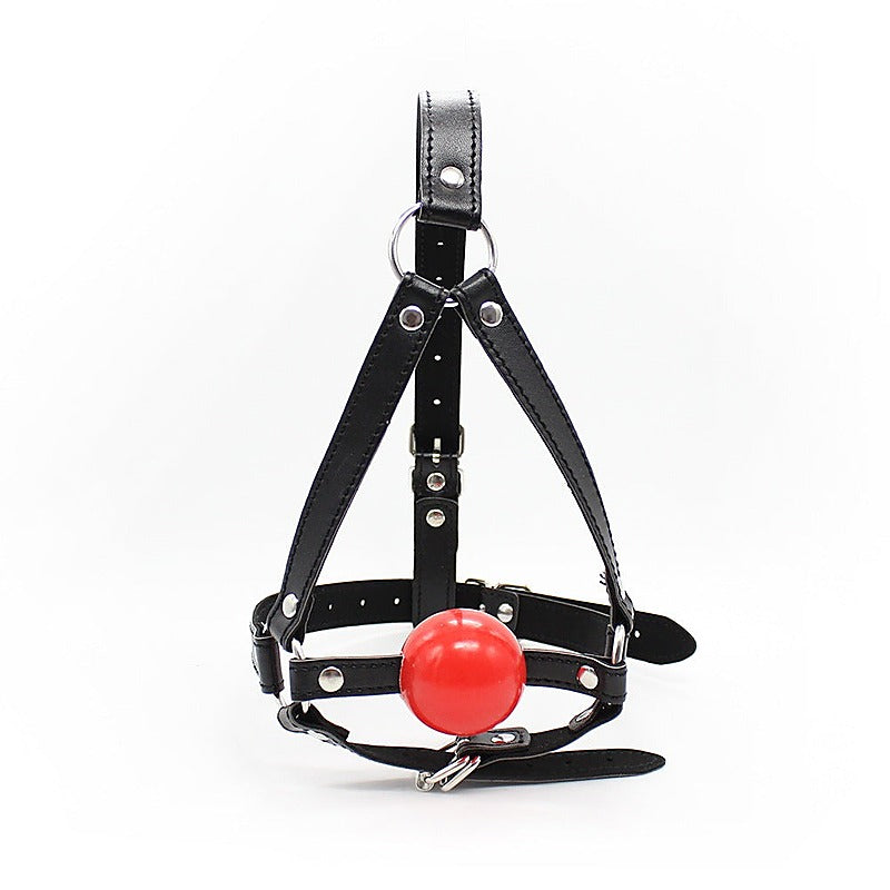 Premium Ball Gag Head Harness by BDStyle - Bondage Gags and Bits