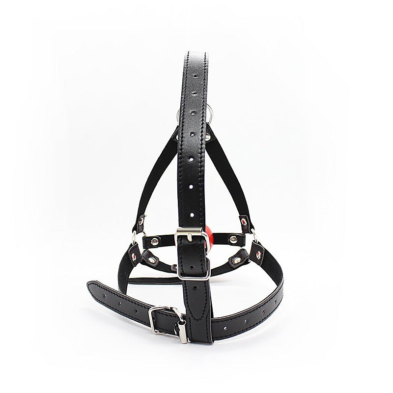 Premium Ball Gag Head Harness by BDStyle - Bondage Gags and Bits