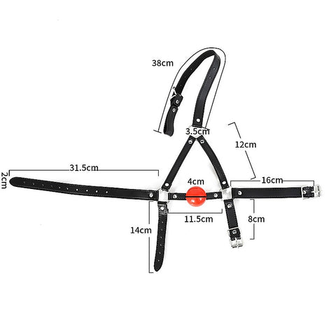 Premium Ball Gag Head Harness by BDStyle - Bondage Gags and Bits
