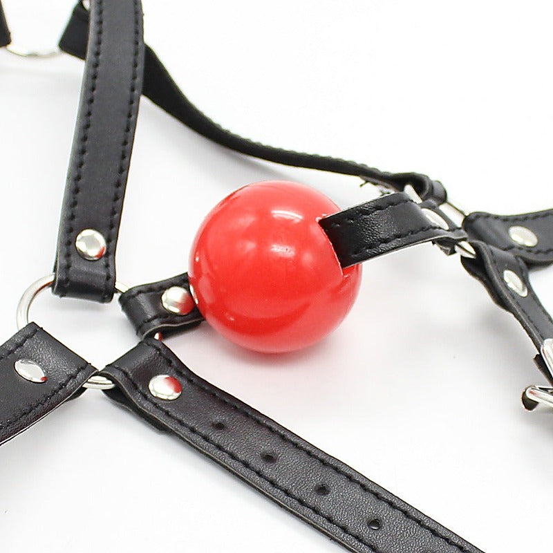 Premium Ball Gag Head Harness by BDStyle - Bondage Gags and Bits