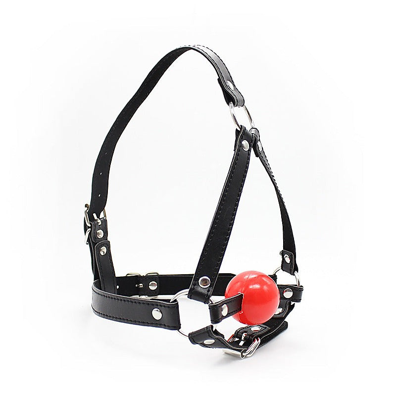 Premium Ball Gag Head Harness by BDStyle - Bondage Gags and Bits