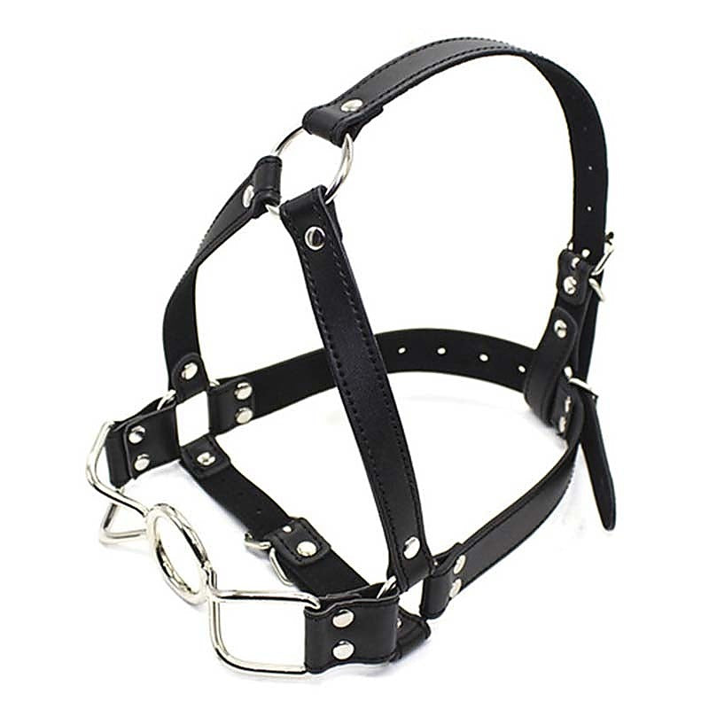 Spider Legs Mouth Gag with Harness by BDStyle - Bondage Gags and Bits
