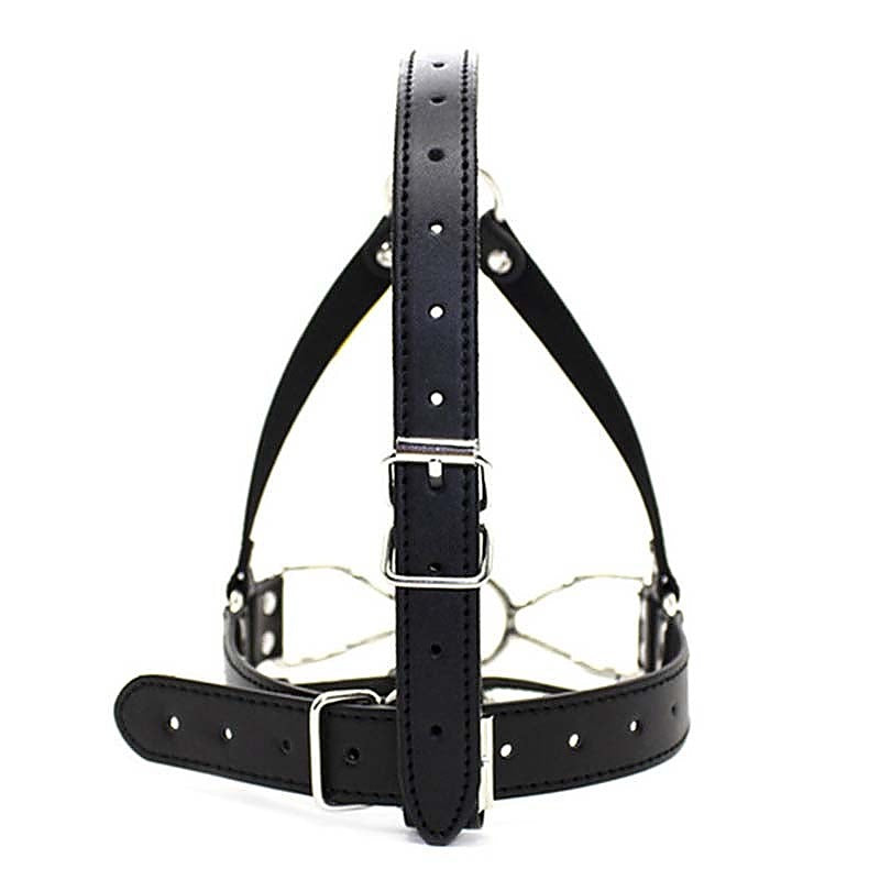 Spider Legs Mouth Gag with Harness by BDStyle - Bondage Gags and Bits