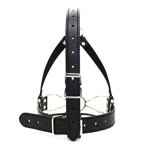 Spider Legs Mouth Gag with Harness by BDStyle - Bondage Gags and Bits