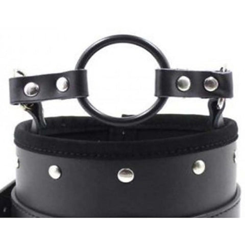 Posture Collar & O Ring Gag Heavy by BDStyle - Bondage Gags and Bits