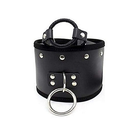 Posture Collar & O Ring Gag Light - Collars and Leads