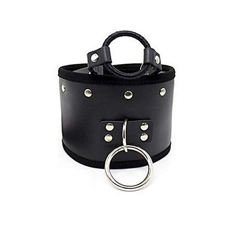 Posture Collar & O Ring Gag Light - Collars and Leads