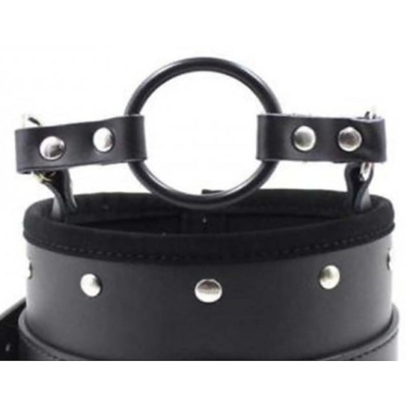 Posture Collar & O Ring Gag Light - Collars and Leads