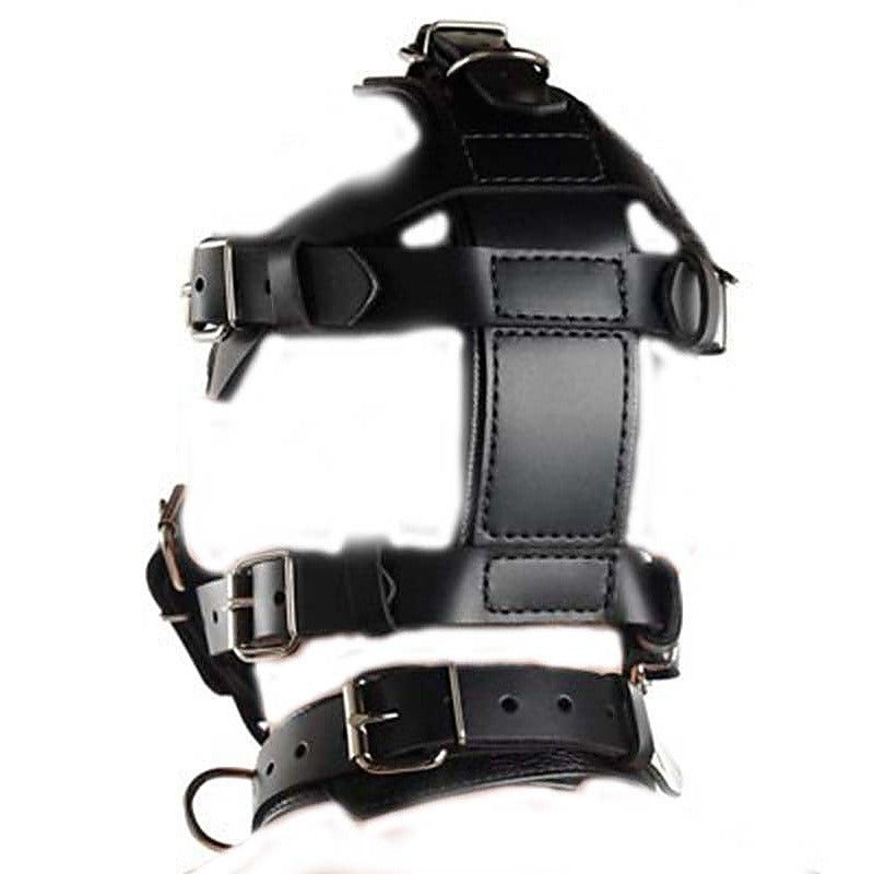 Premium Head Harness & Muzzle Light by BDStyle - Bondage Gags and Bits