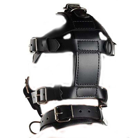 Head Harness & Muzzle Light by BDStyle - Bondage Gags and Bits