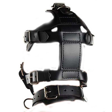 Premium Head Harness & Muzzle Light by BDStyle - Bondage Gags and Bits