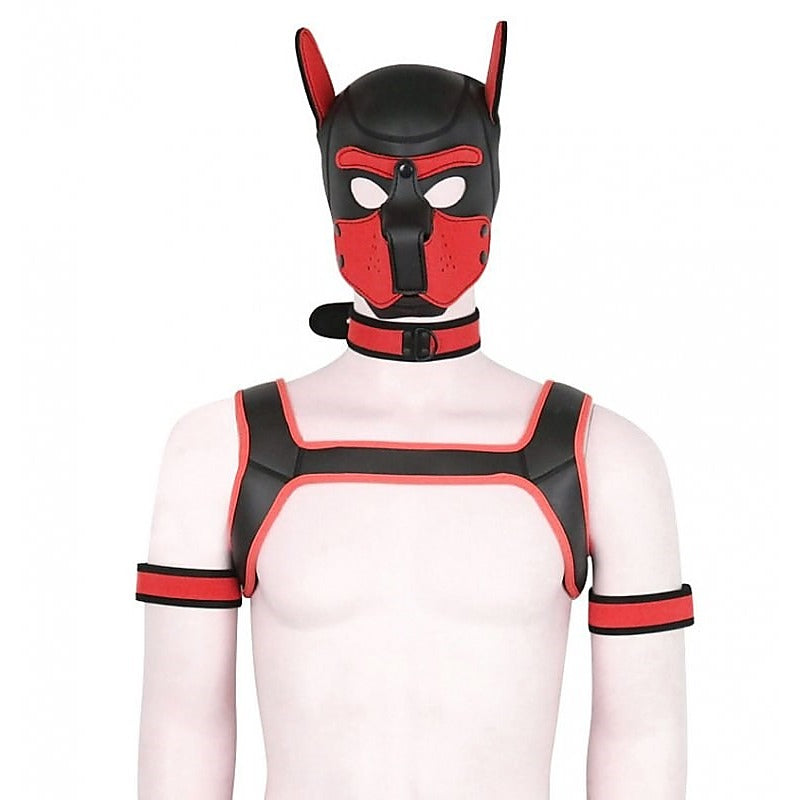 Professional Dog Hood Bondage Kit by BDStyle - Bondage Hoods