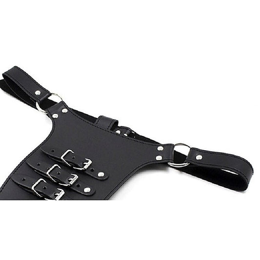 Male Chastity Harness with Penile Straps by BDStyle - Ball and Cock Toys