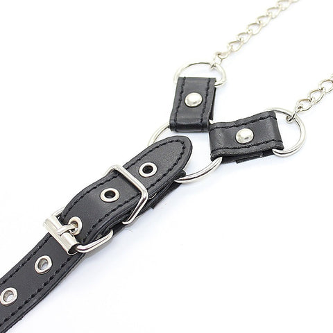 Premium Nipple Clamps and Cock Ring by BDStyle - Cock Rings