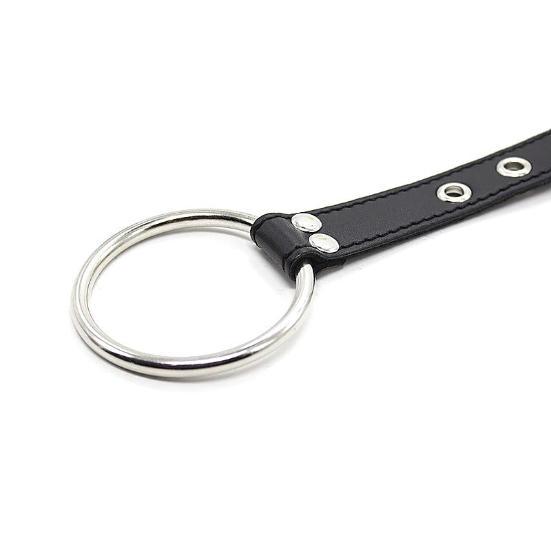 Premium Nipple Clamps and Cock Ring by BDStyle - Cock Rings