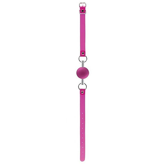 Bad Romance Pink Translucent Mouth Gag with Metal Tube - Bondage Gags and Bits