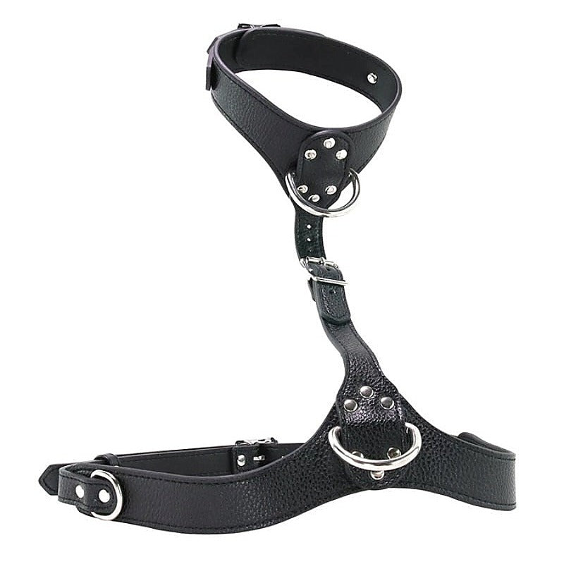 Premium Female Chest Harness by XR Brands - Her Fetish