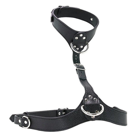 Premium Female Chest Harness by XR Brands - Her Fetish