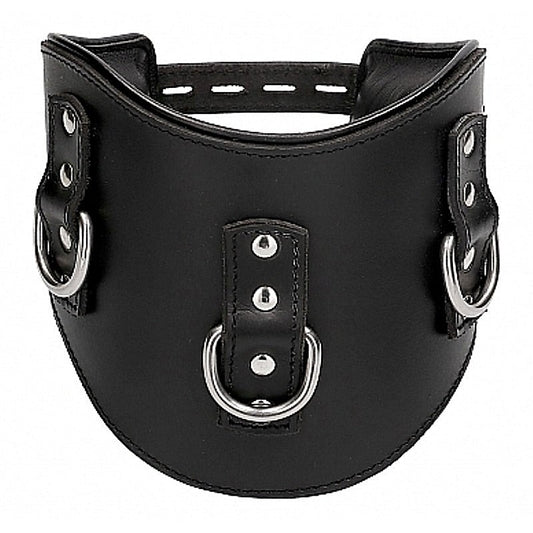 Pain Heavy Duty Padded Posture Collar - Collars and Leads