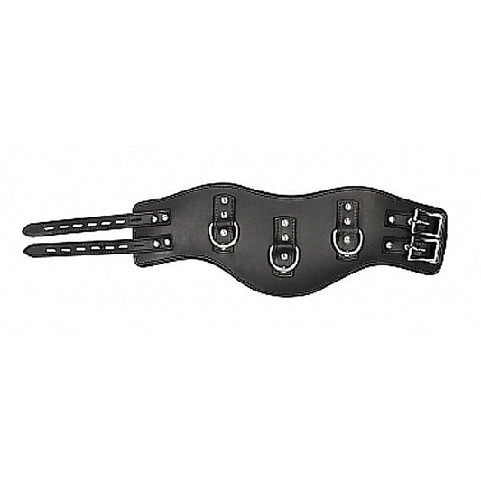 Pain Heavy Duty Padded Posture Collar - Collars and Leads