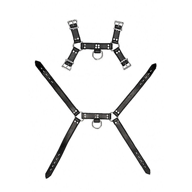 Pain Leather Male Chest Harness by Shots Toys - Cuffs and Restraints