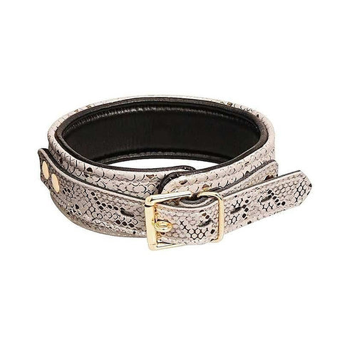 White Snake Print Microfiber Collar and Leash by Spartacus - Collars and Leads