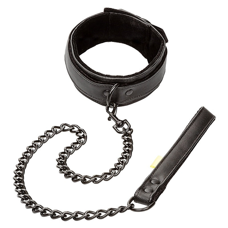 Boundless Bondage Collar and Leash by California Exotics - Collars and Leads