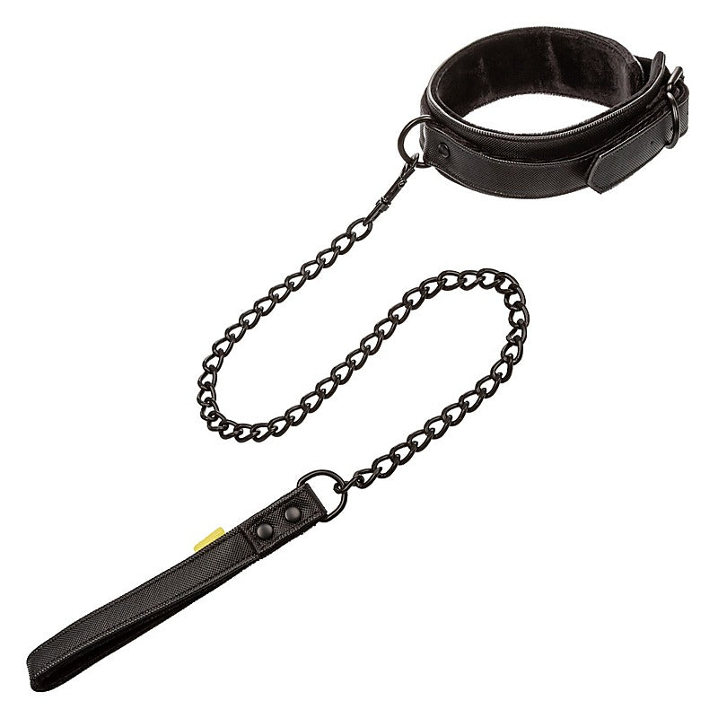 Boundless Bondage Collar and Leash by California Exotics - Collars and Leads