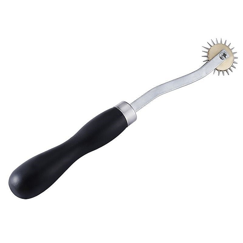 Premium Electro-Sex Single Pinwheel by BDStyle - Electro Sex