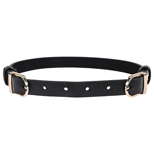 S&M Double Buckle Day Collar