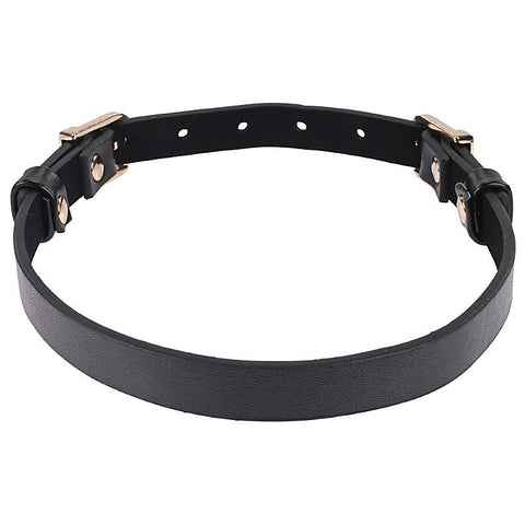 S&M Double Buckle Day Collar by Sportsheets - Collars and Leads