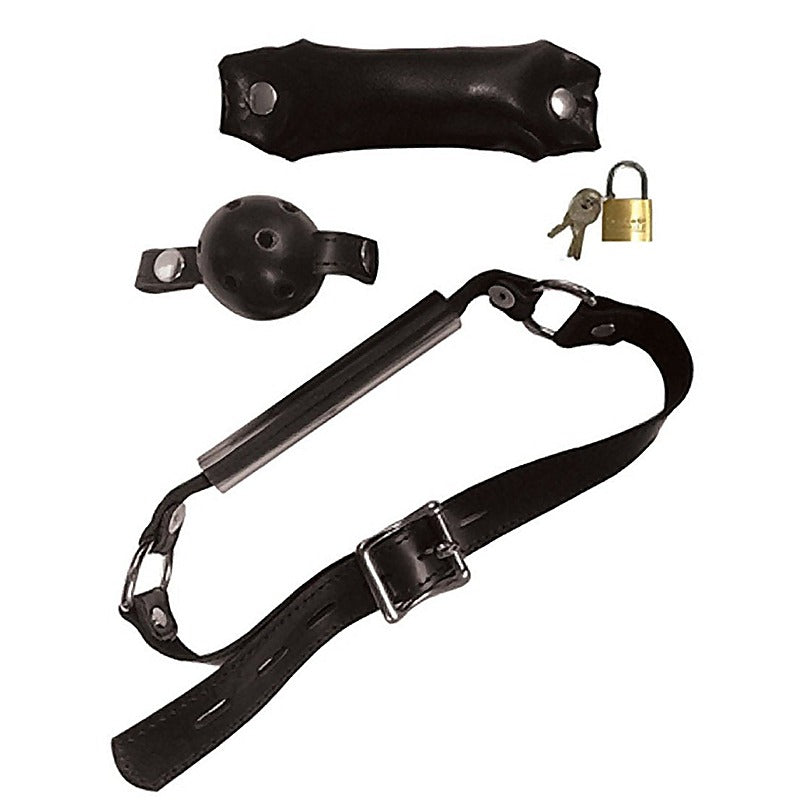 Premium Switch Out Silencer Kit by Sportsheets - Bondage Gags and Bits