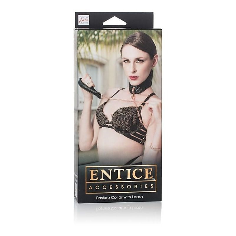 Entice BDSM Play Posture Collar with Leash - Collars and Leads