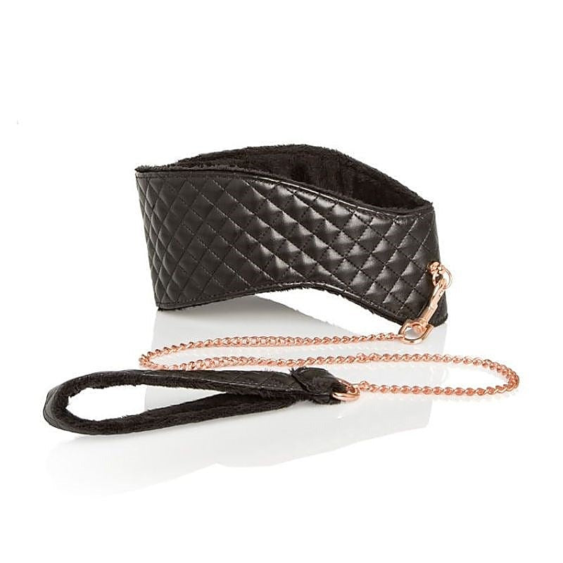 Entice BDSM Play Posture Collar with Leash - Collars and Leads